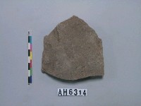 藏品(磨製石斧)的圖片